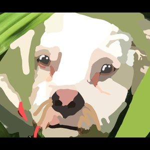 Meet your Posher, Caley